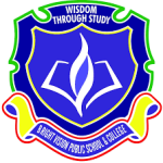 Bright Vision Public School