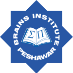 The Brains Institute